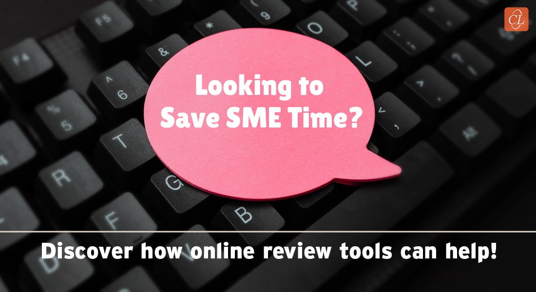 Rapid eLearning Saves SME Time – Explore How